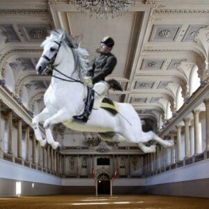 Bécsi Spanyol Lovasiskola, ahol ijedtében is capriole-t ugrik a ló